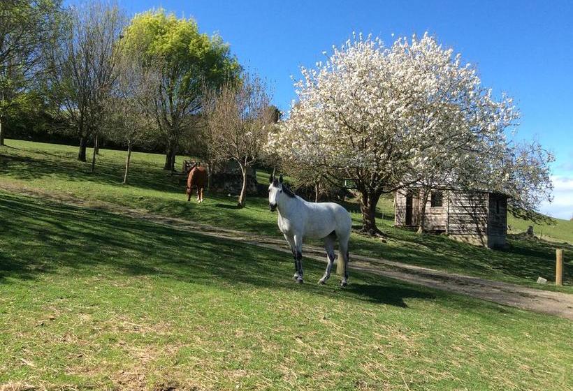 Ploughview Bed And Breakfast 5