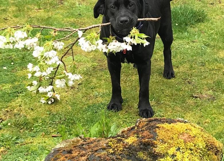 Bed and Breakfast Frankie & Hugh S 10