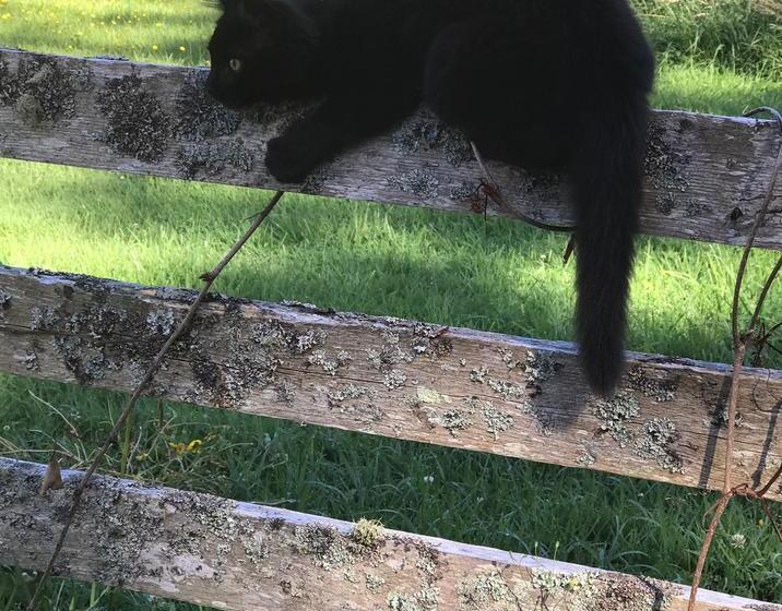 Bed and Breakfast Frankie & Hugh S 11