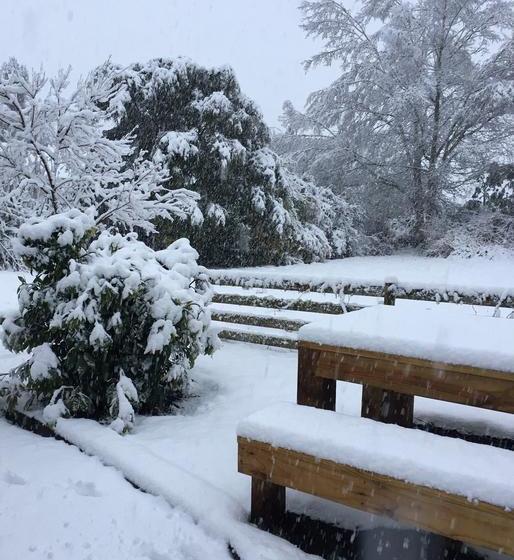 Bed and Breakfast Frankie & Hugh S 13