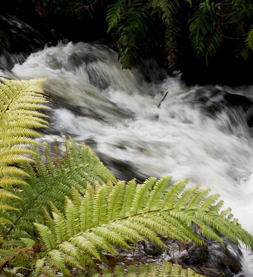 Bed and Breakfast Frankie & Hugh S 14