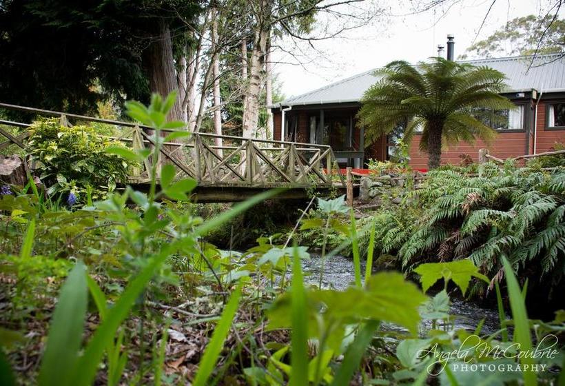 Bed and Breakfast Frankie & Hugh S 3