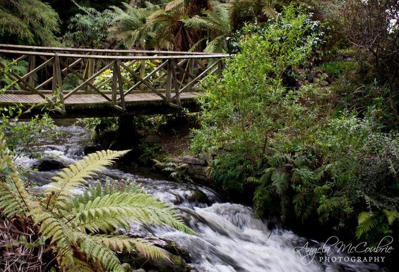 Bed and Breakfast Frankie & Hugh S 9