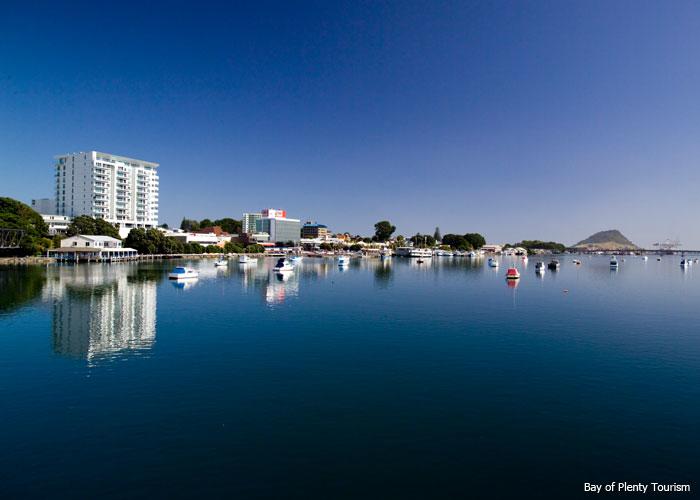 Hostel Tauranga Central Backpackers 11