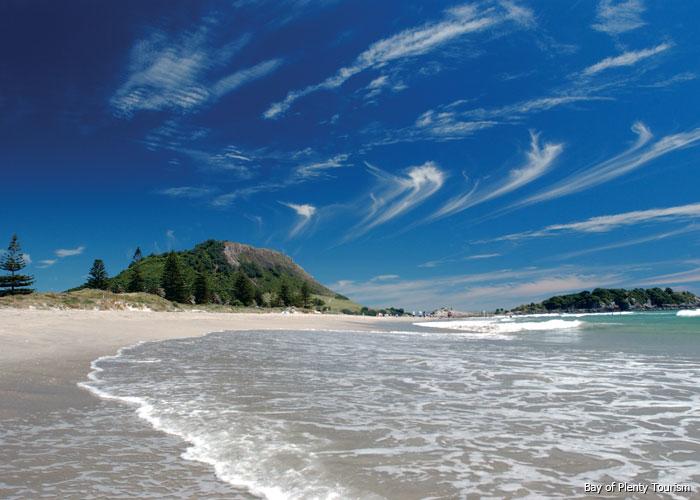 Hostel Tauranga Central Backpackers 13