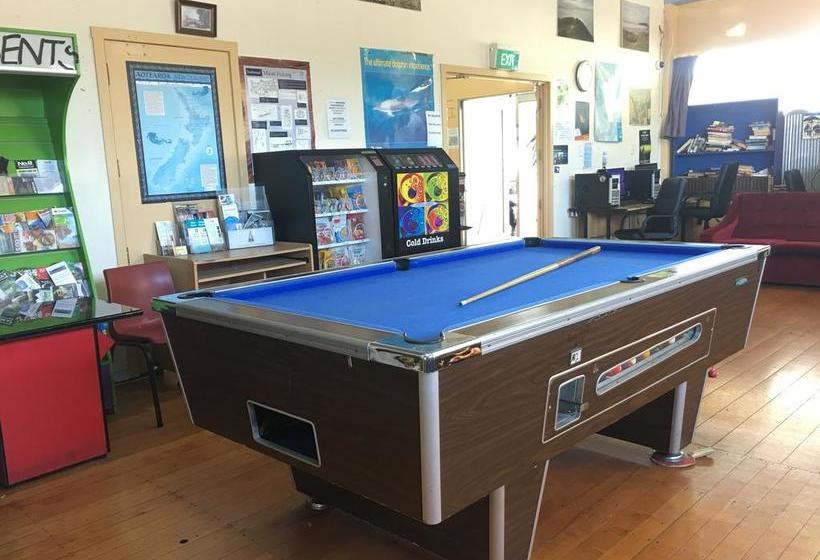 Hostel Tauranga Central Backpackers 9