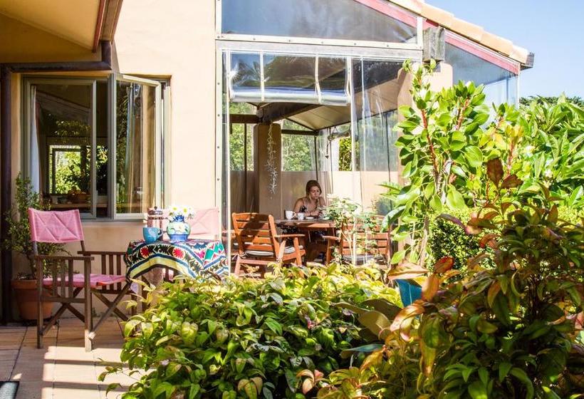 Taigh Na Mara Bed And Breakfast 4