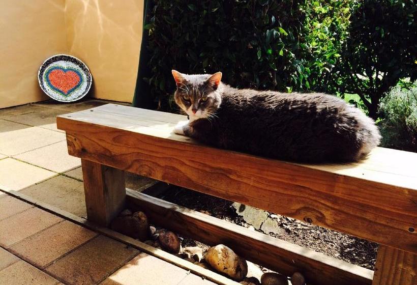 Taigh Na Mara Bed And Breakfast 7