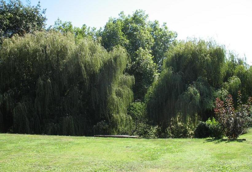 Karapiro Willows Luxury B & B 13