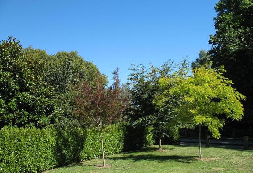 Karapiro Willows Luxury B & B 14