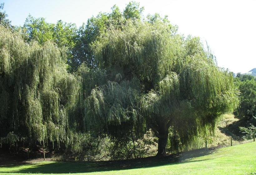 Karapiro Willows Luxury B & B 17