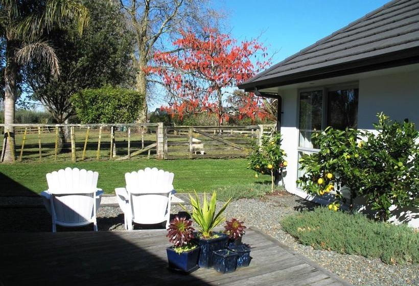 Karapiro Willows Luxury B & B 19