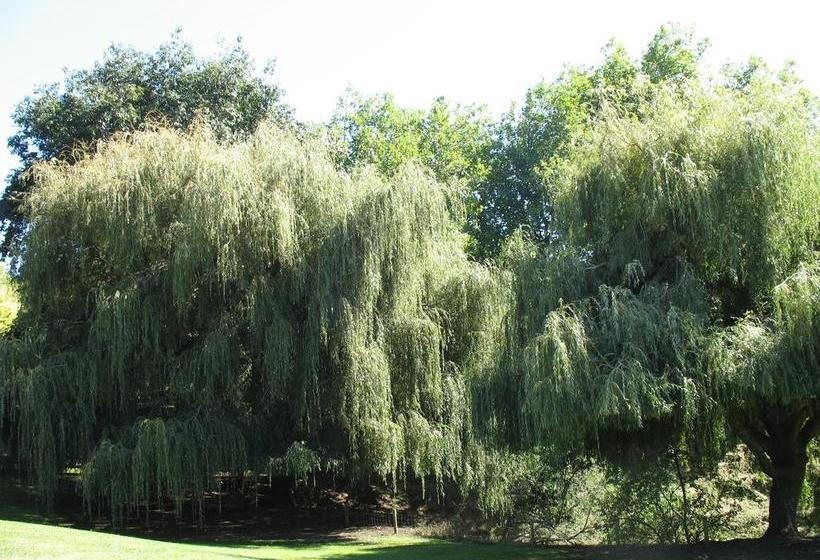 Karapiro Willows Luxury B & B 7