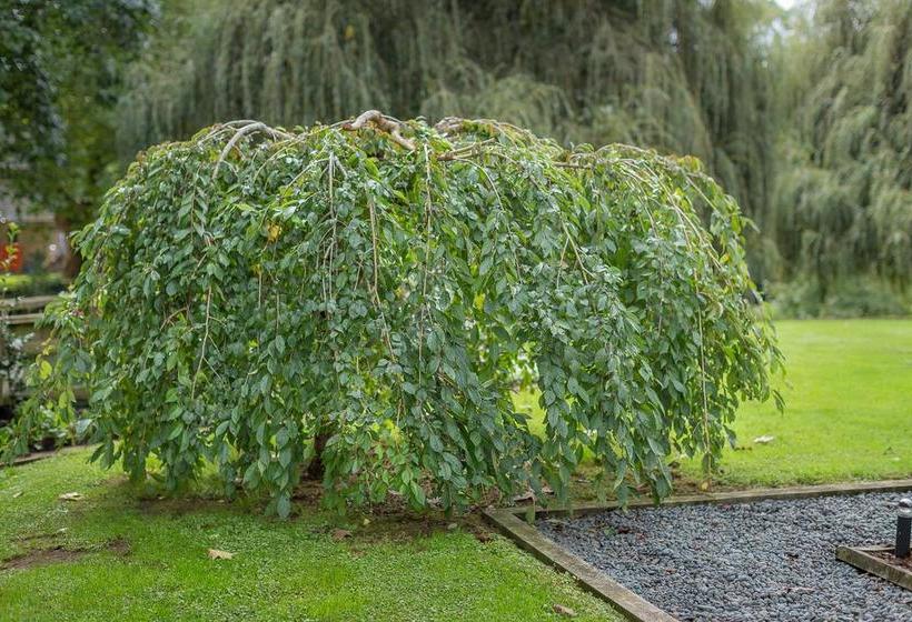 Karapiro Willows Luxury B & B 8