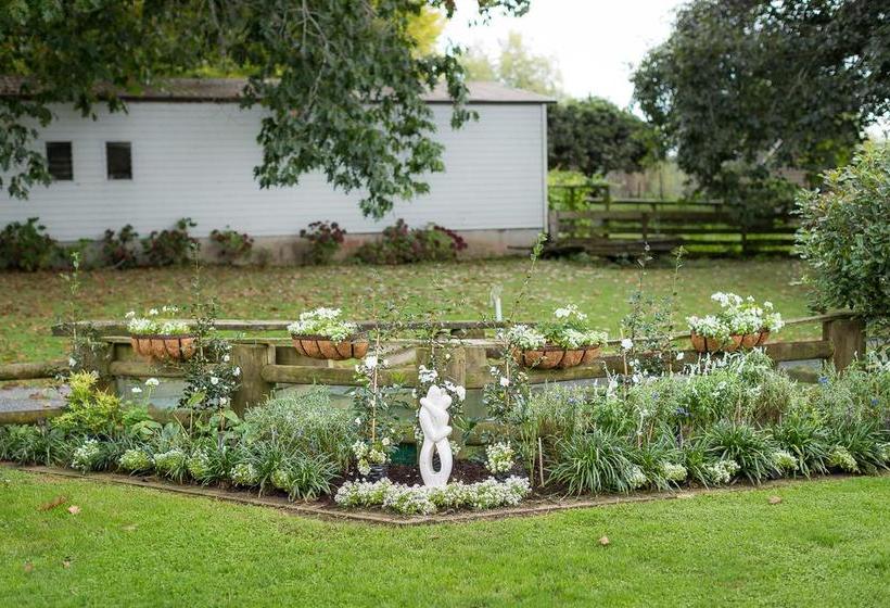 Karapiro Willows Luxury B & B 9