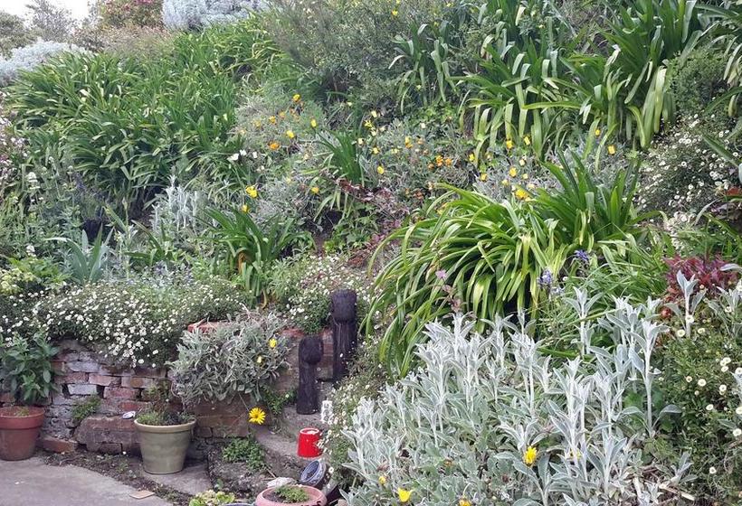 Bed and Breakfast 210 Hillsidecottage 10