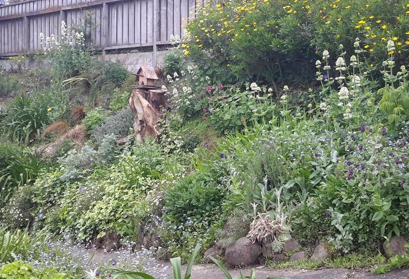 Bed and Breakfast 210 Hillsidecottage 11