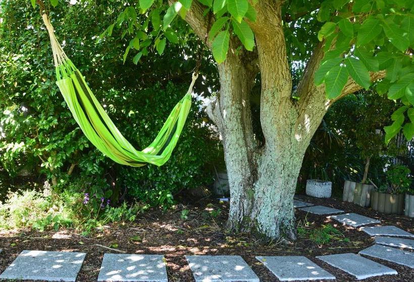 Hostel Belvedere Accommodation 3