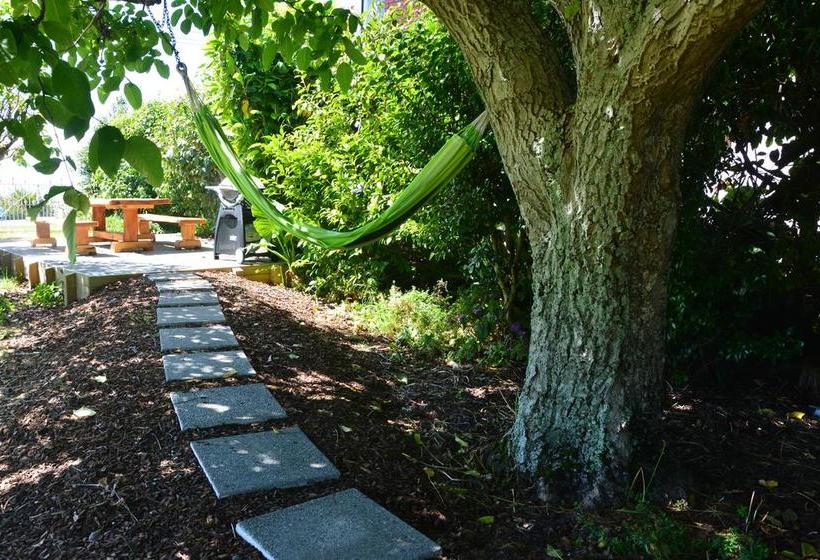 Hostel Belvedere Accommodation 6