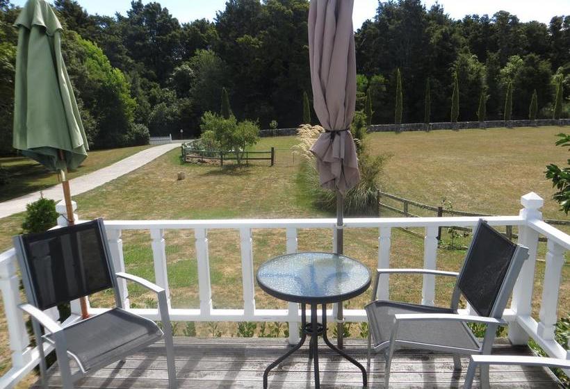 Rose Cottage Motel 5