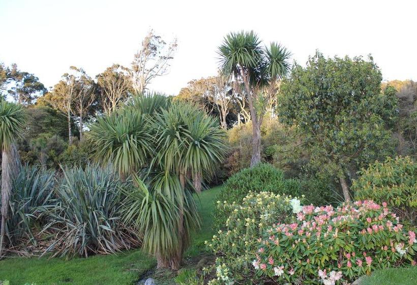 Bed and Breakfast Tui Hideaway 10