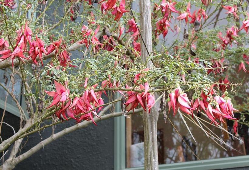 Bed and Breakfast Tui Hideaway 14