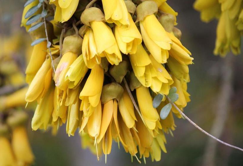 Bed and Breakfast Tui Hideaway 4