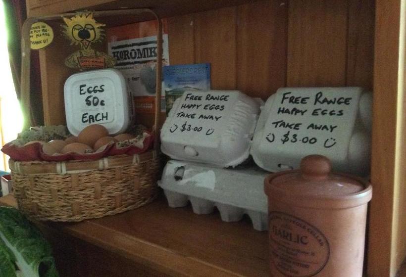 Hostel Jugglers Rest 8