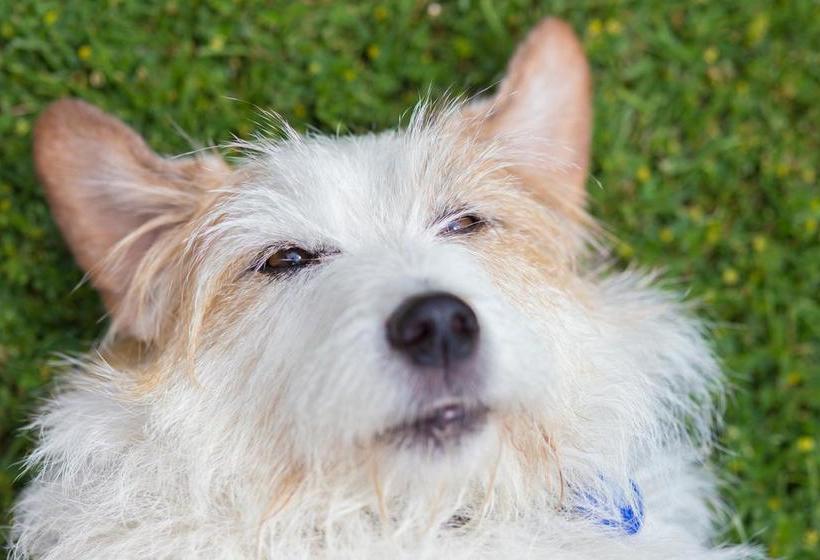 Accent House Boutique B & B 10