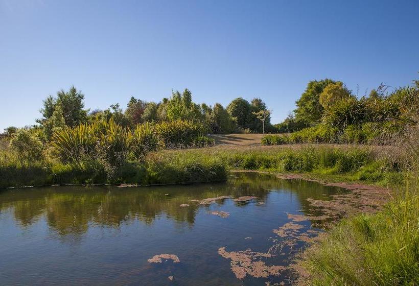 Accent House Boutique B & B 11