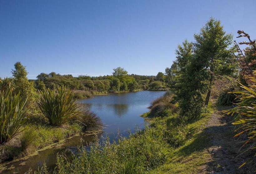 Accent House Boutique B & B 12