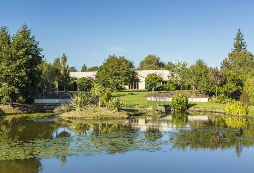 Accent House Boutique B & B 2