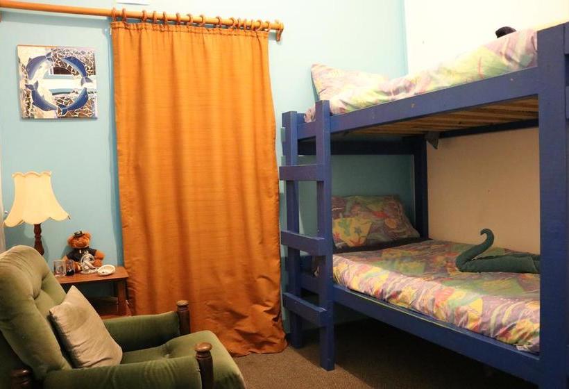 Hostel Atlantis Backpackers 18