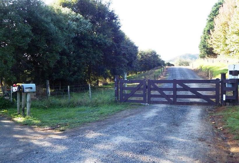 Bed and Breakfast Hilltop 11