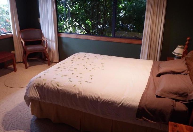 Bed and Breakfast Hilltop 4