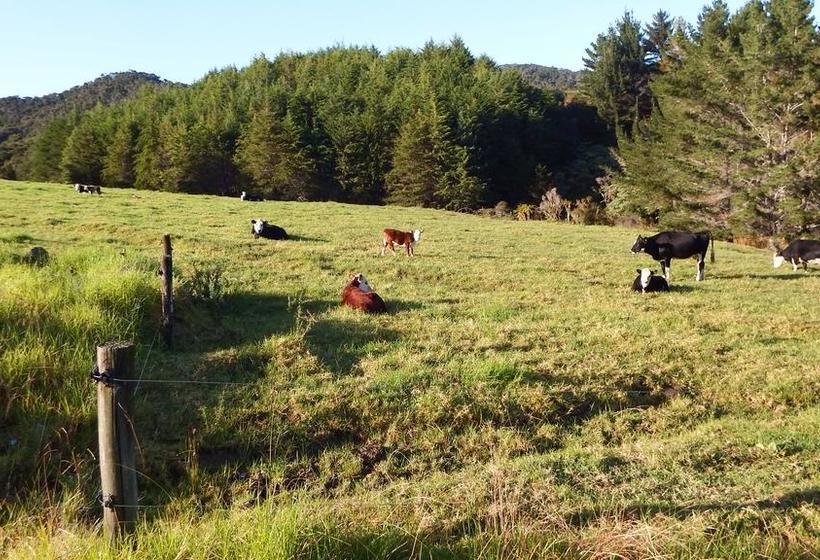 Bed and Breakfast Hilltop 8