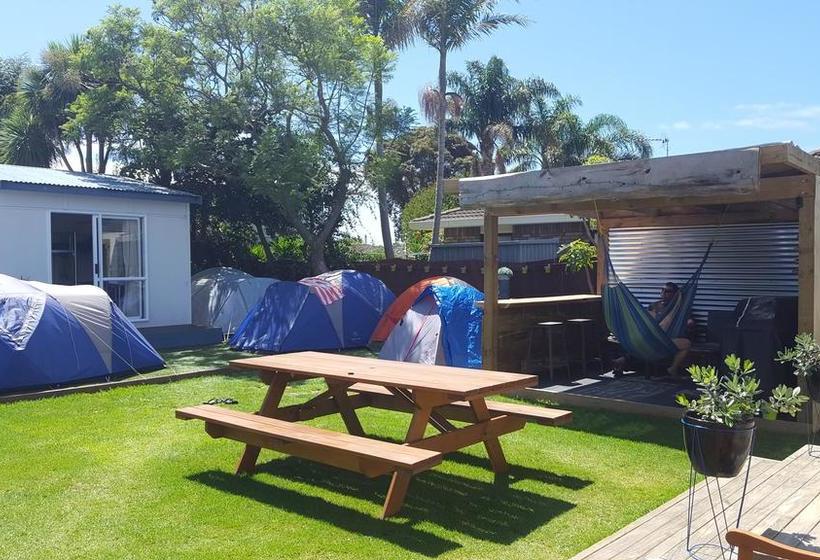 Hostel Apple Tree Backpackers 13