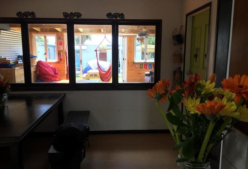 Hostel Apple Tree Backpackers 18