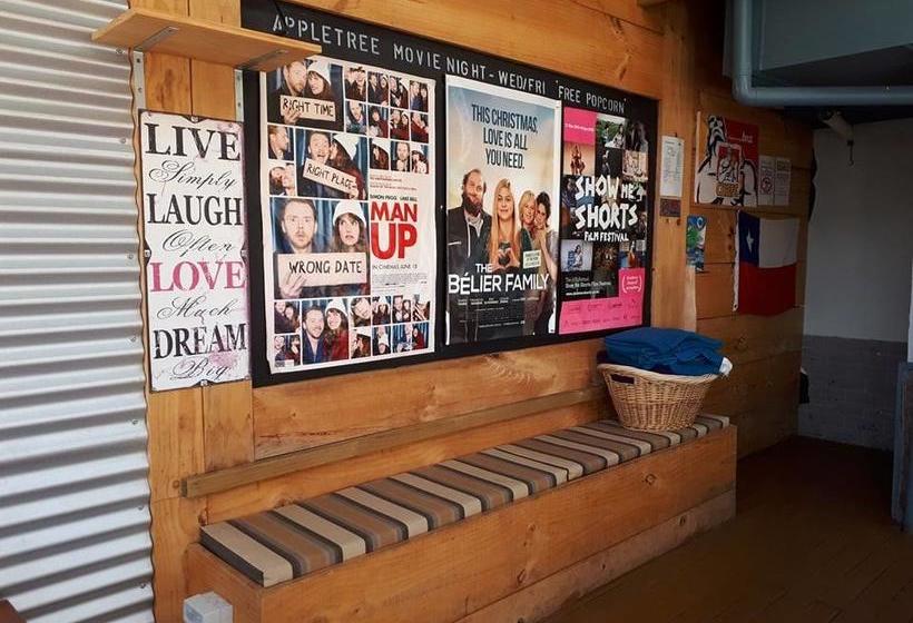 Hostel Apple Tree Backpackers 3