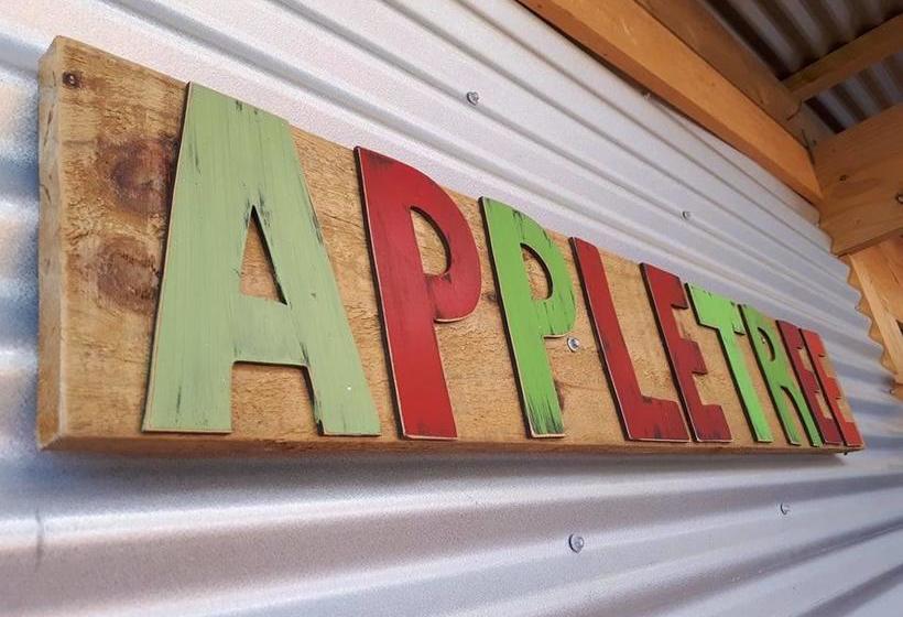 Hostel Apple Tree Backpackers 6