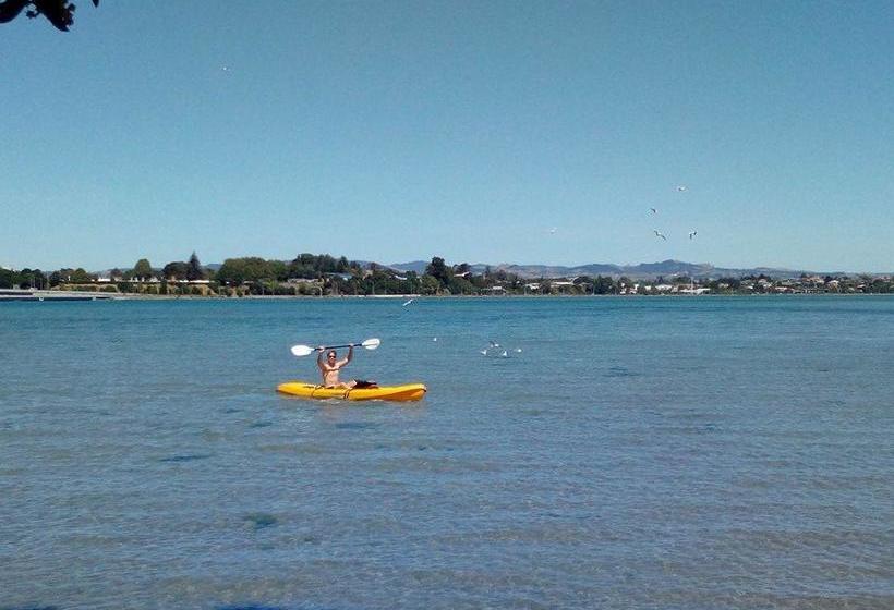 Hostel Apple Tree Backpackers 9