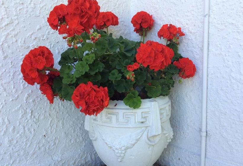 Waimarie On Riverside Motel & Apartments 4