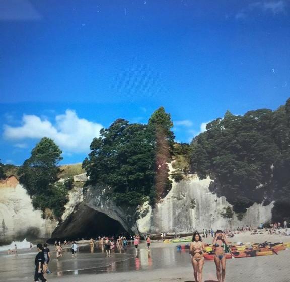 The Beach Front B & B 10