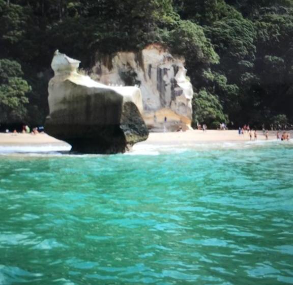 The Beach Front B & B 12