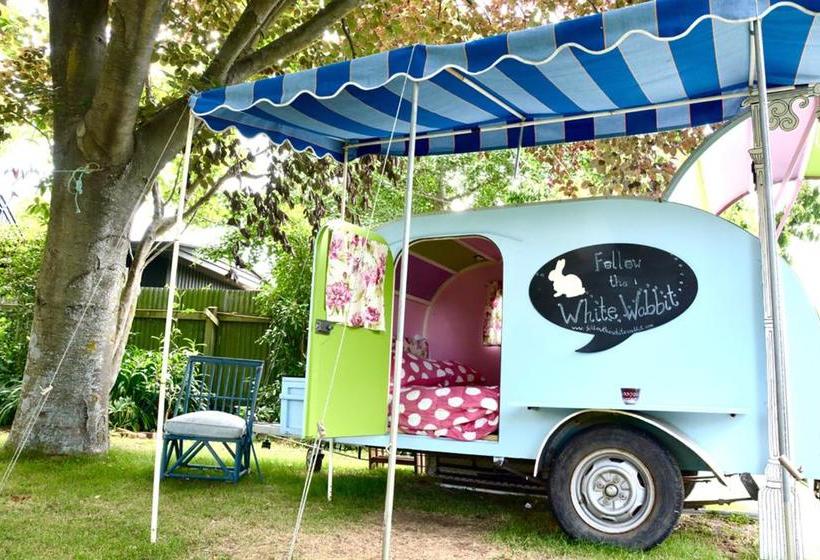 Bed and Breakfast Follow The White Wabbit 1