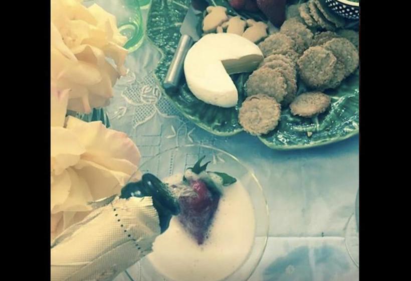 Bed and Breakfast Follow The White Wabbit 10