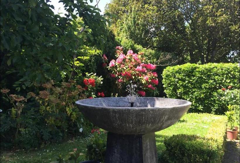 Bed and Breakfast Follow The White Wabbit 11