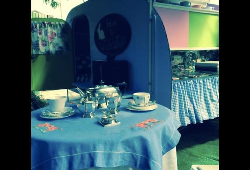 Bed and Breakfast Follow The White Wabbit 12