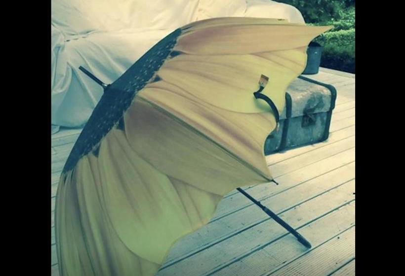 Bed and Breakfast Follow The White Wabbit 16