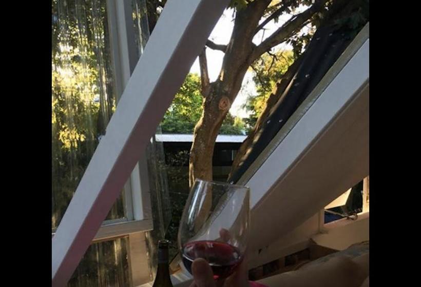 Bed and Breakfast Follow The White Wabbit 18